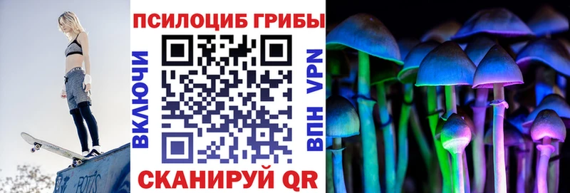 Псилоцибиновые грибы прущие грибы  Купить где  Цимлянск 