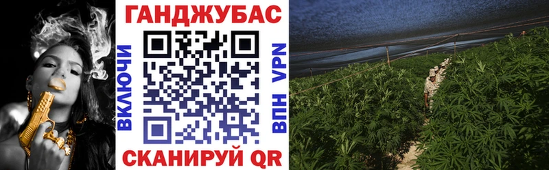 Купить закладки  Цимлянск  Каннабис сатива 